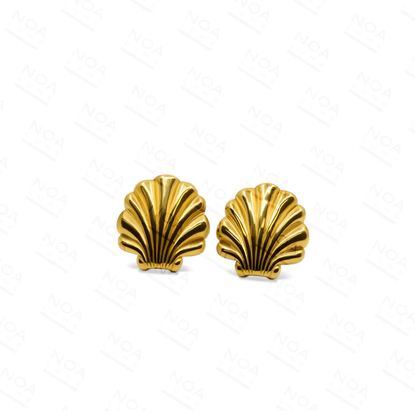 Sea Shell Golden Earring