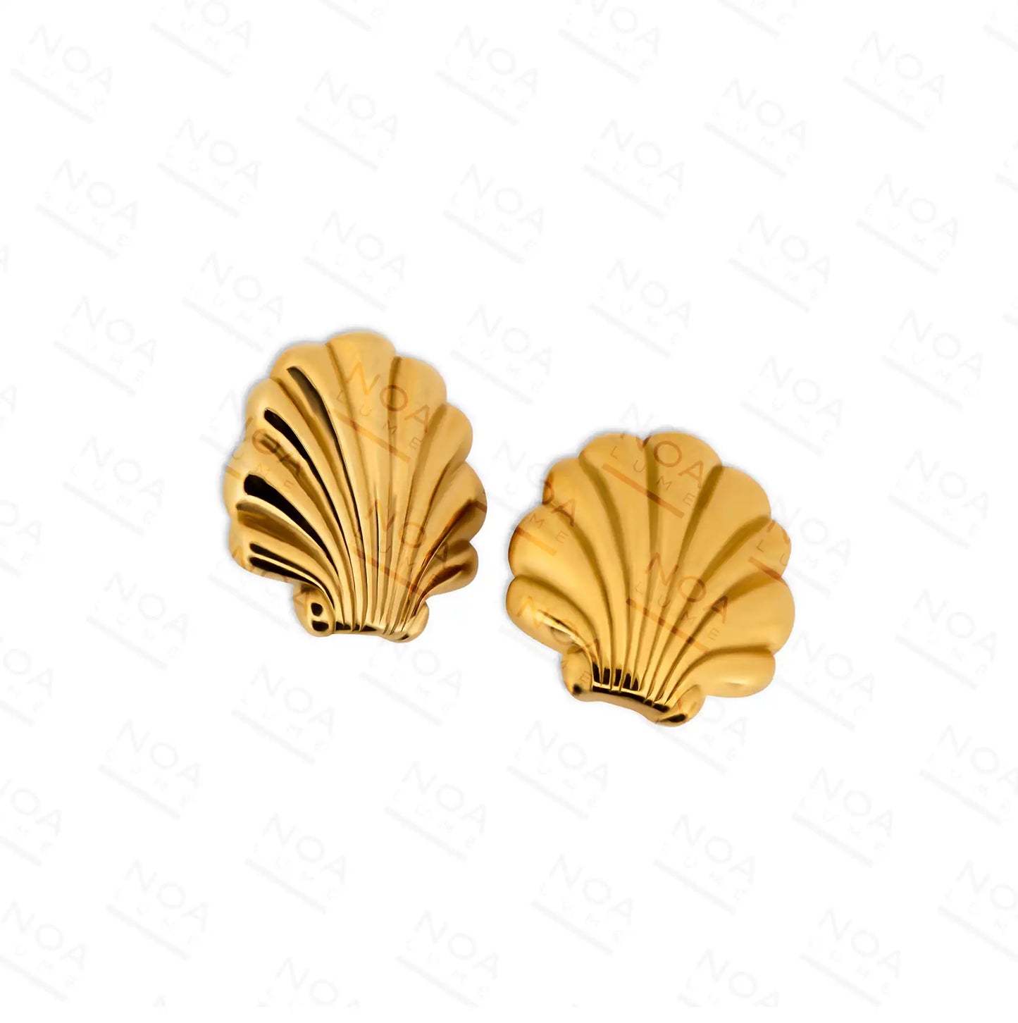 Sea Shell Golden Earring